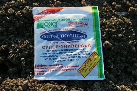 Фитоспорин для обработки почвы в теплице осенью