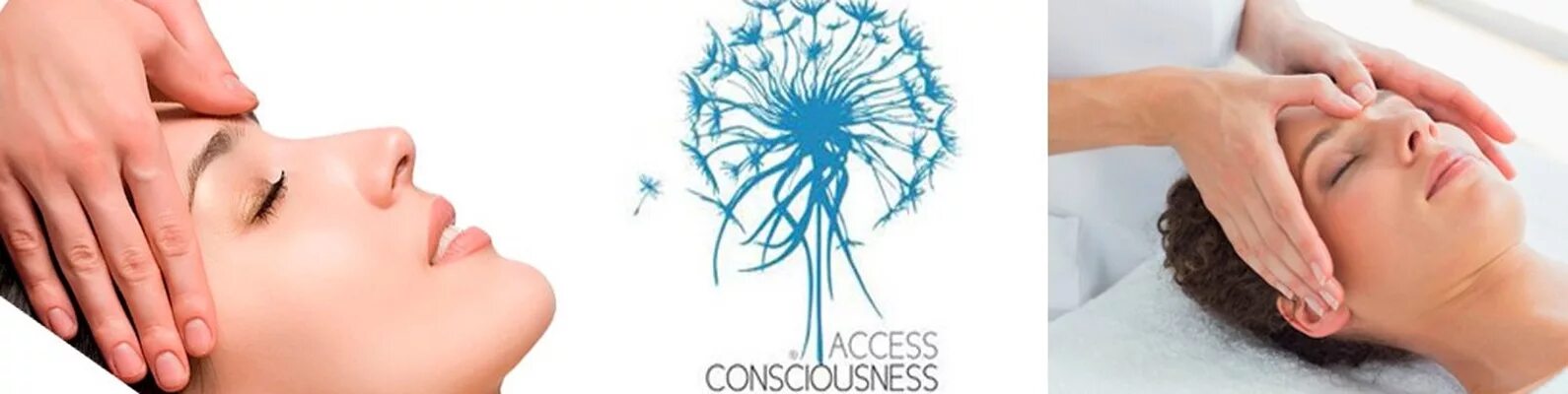 Access body