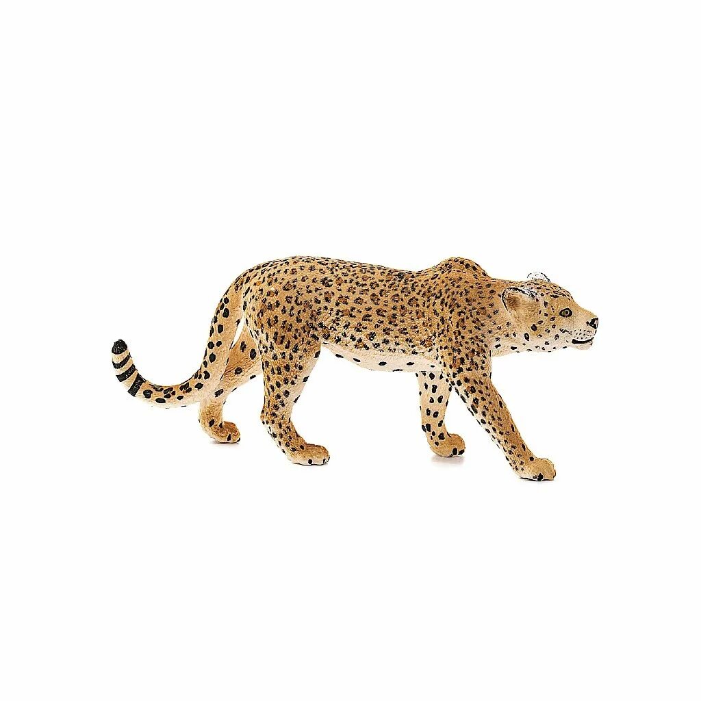 Леопард 12. 14748 schleich леопард. 14360 schleich леопард. леопарды шляйх. фигурка леопарда шляйх.