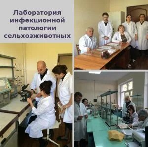 Инфекционная лаборатория