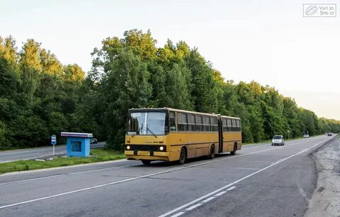 Железногорск москва автобус