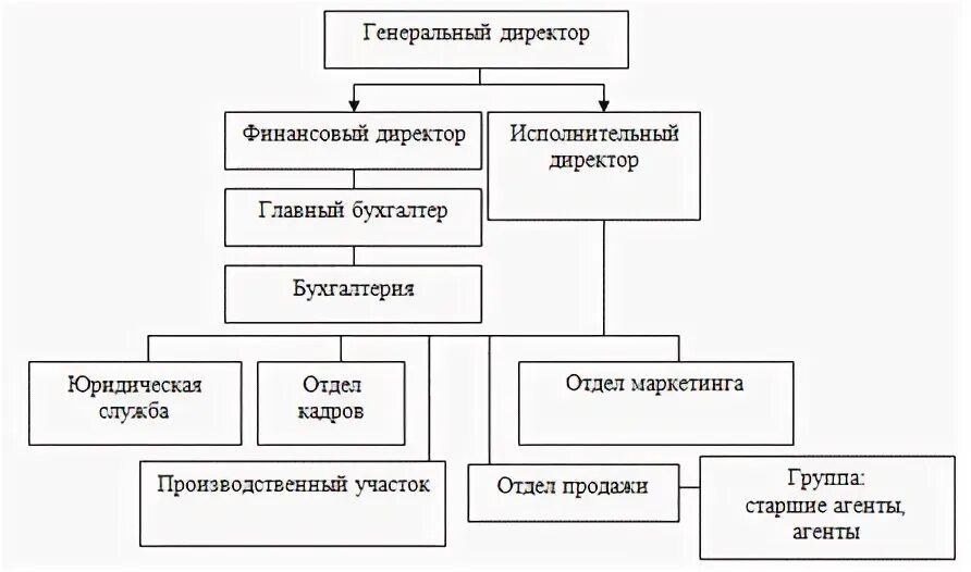 Кто подчиняется генеральному директору. Главный бухгалтер подчиняется. кто подчиняется финансовому директору. кто подчиняется бухгалтеру в организации. финансовый директор кто в подчинении.