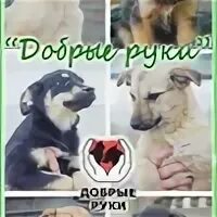 НЛО прилетело и украло описание.