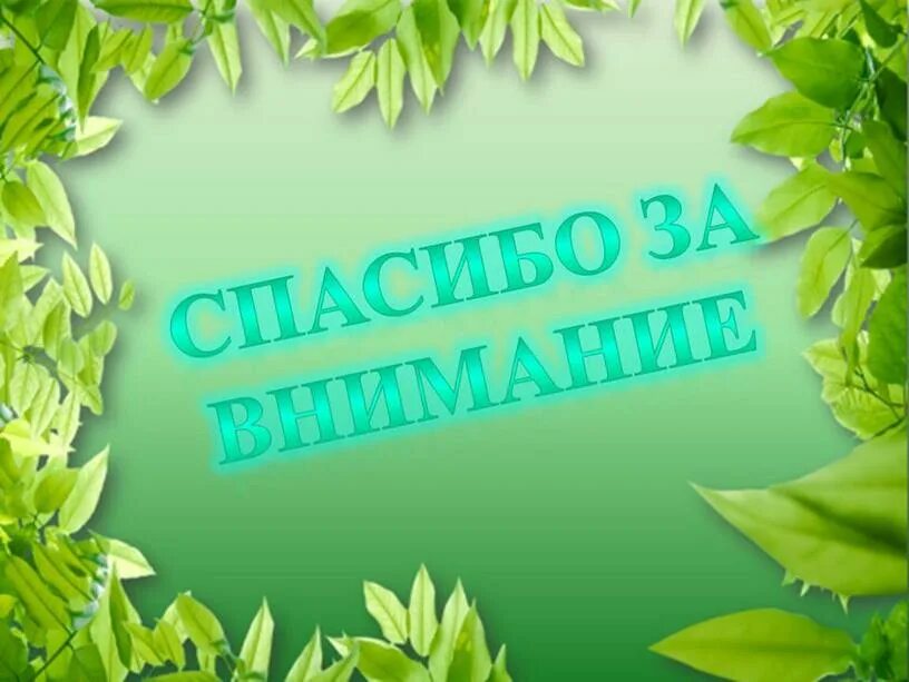 Слайд экология. Слайды на экологическую тему. Фон для титульного листа проекта. Шаблон для проекта.