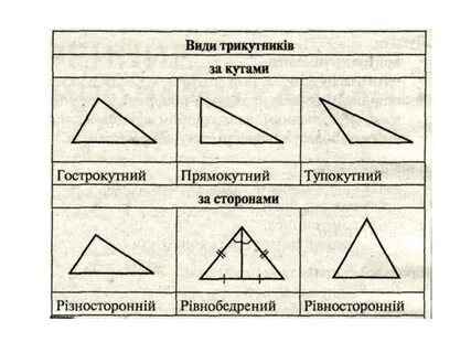 Види