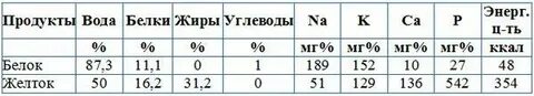 1 яйцо содержит белка