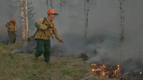 Вводят ли режим чс