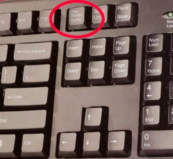 Какая кнопка нажата на компьютере. Игра нажимать на кнопку. На какие кнопки надо нажимать. На какую кнопку надо нажать чтобы. Кнопка на компе Press.
