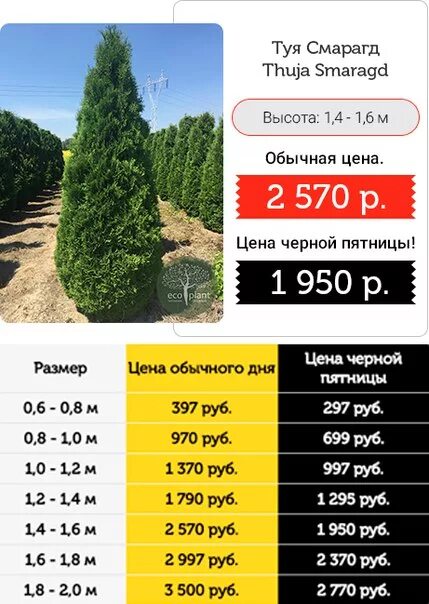 Экоплант питомник растений москва. Питомник экоплант каталог москва. Питомник экоплант каталог москва. Питомник растений рекламный пост. Питомник экоплант каталог москва.