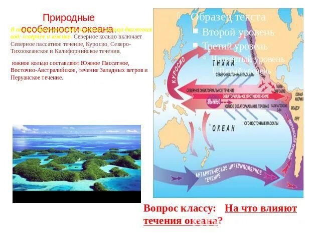 Калифорнийское течение холодное. Калифорнийское течение. Течение Куросио. Океанические течения Тихого океана. Куросио течение на карте.