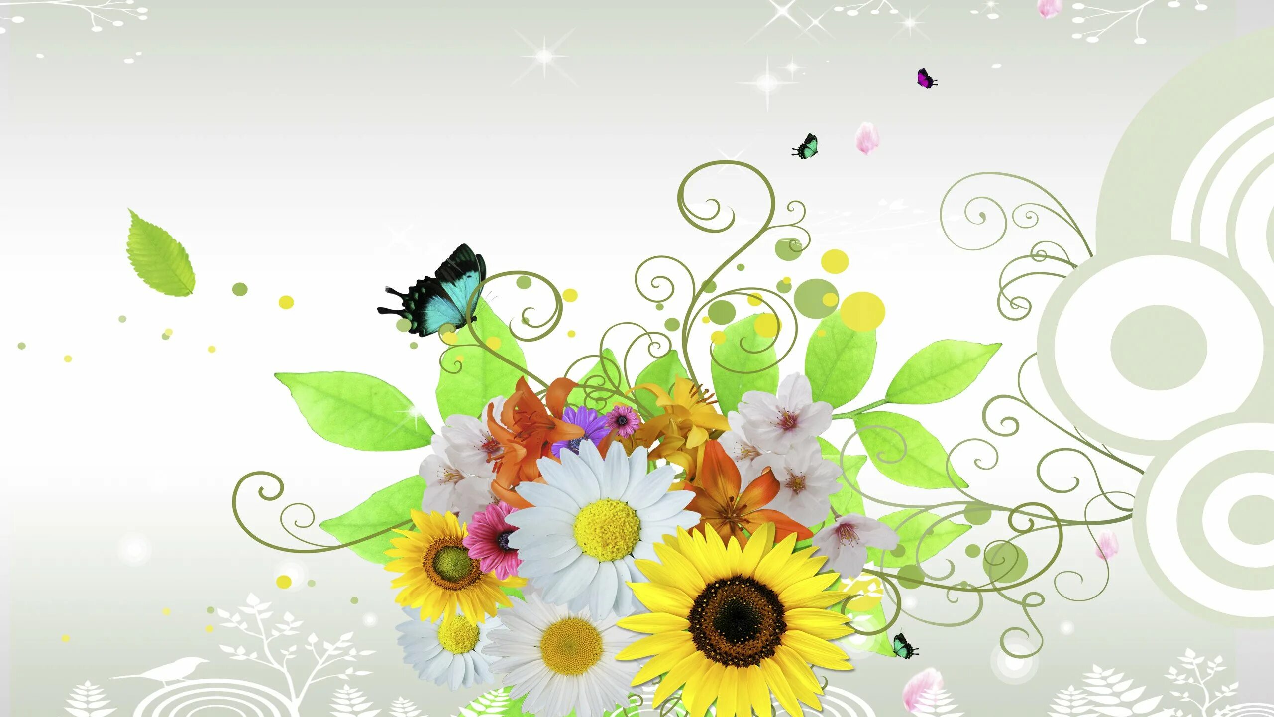 Фон для афиши март. Весенние цветы. Весенний фон. Фон с цветами. Фон для афиши.