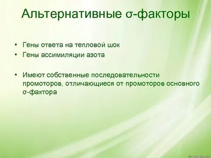 Виды альтернативы