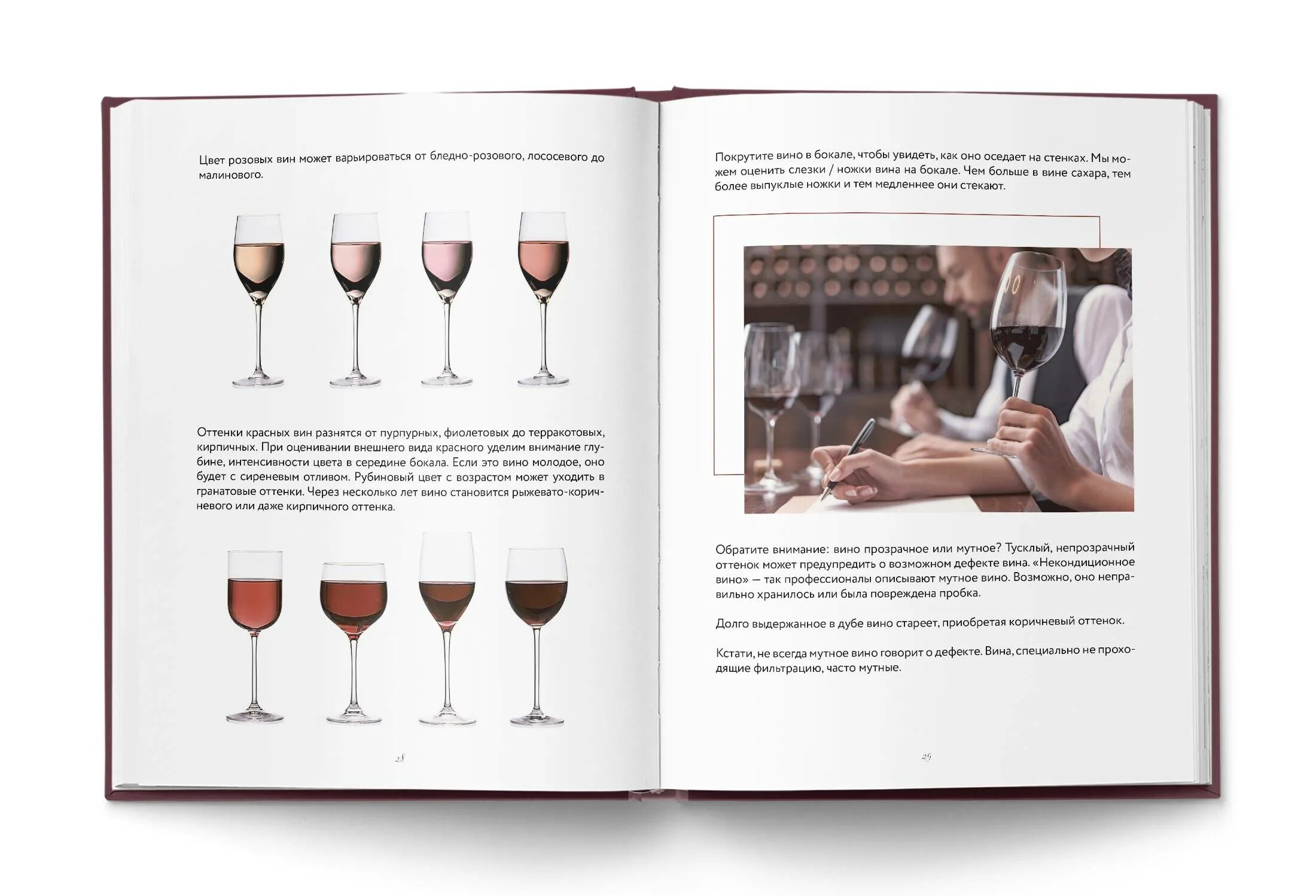 Язык в вине. Книги о вине и виноделии. Сам себе сомелье книга. Книги о французских винах. Как научиться разбираться в винах.