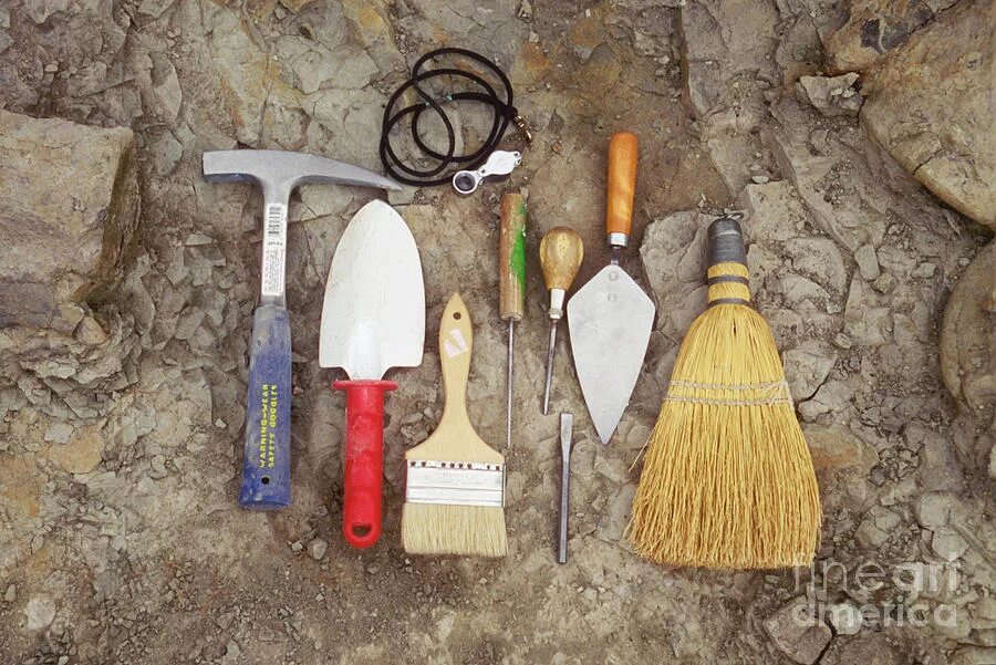 Tools used to excavate dinosaur fossils - Stock Image - E405/0031 - Science Phot
