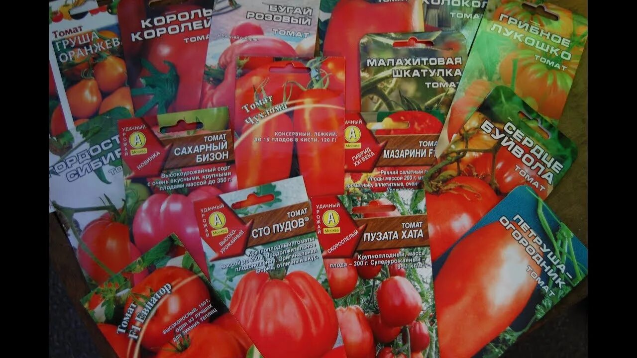 Buy Tomato Seeds - Order Tomato Seed Online Thompson & Morgan Tomato, Tomato see