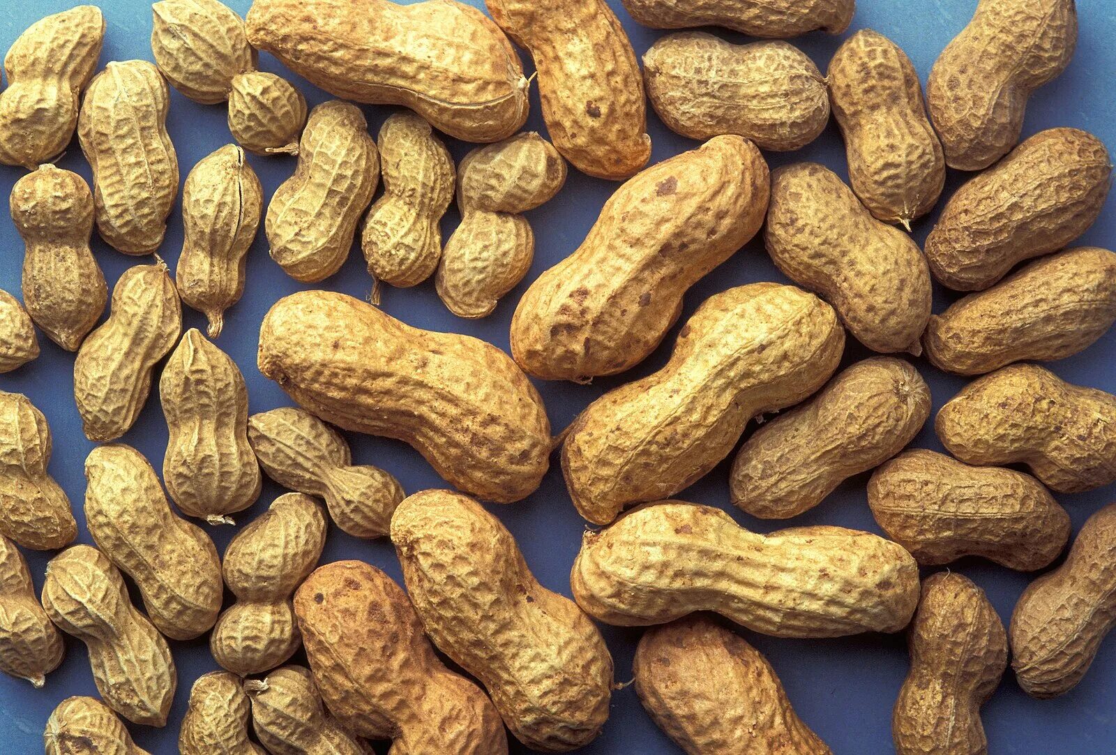 Indian Style Boiled Peanuts - Indiaphile Recipe Boiled peanuts, Indian food reci