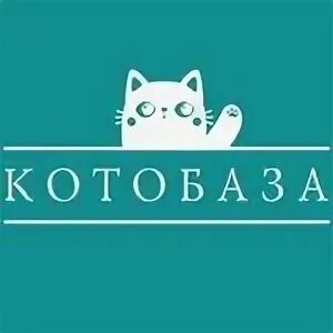 Котобаза