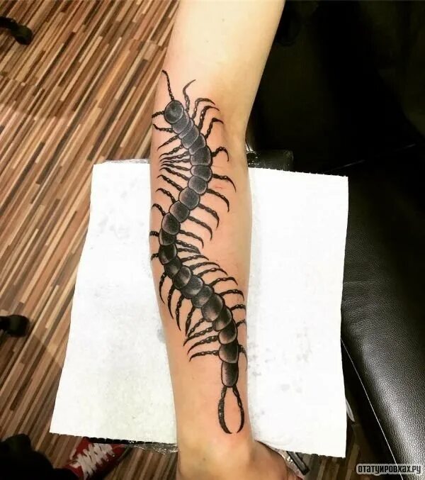 Тату сколопендра 1000-7. Тату сколопендра на позвоночнике. Татуировка сколопендра. Сколопендра токийский гуль тату. Тату сороконожка.