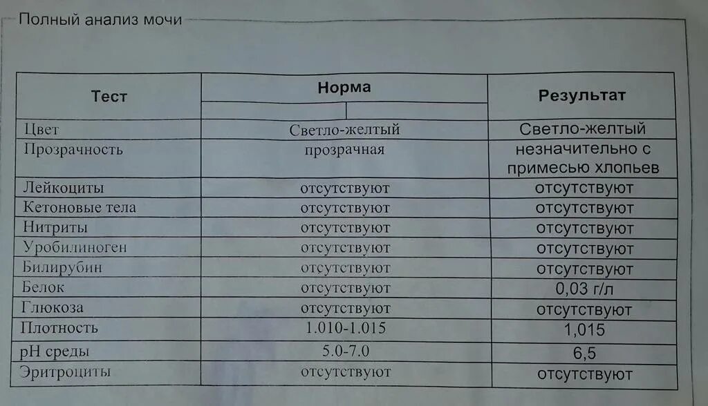 Сколько делается моча в поликлинике