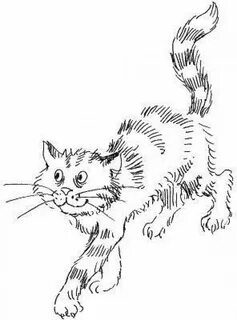Раскраска кот дремота