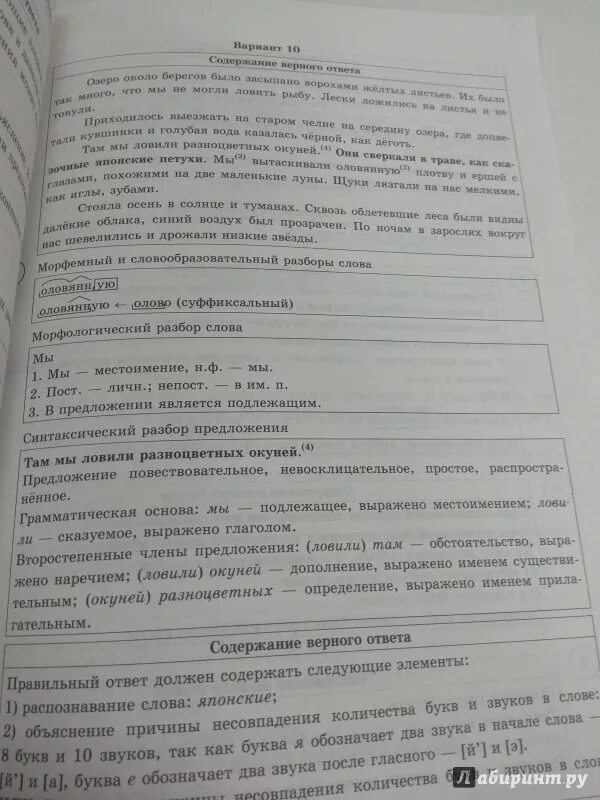 Впр по русскому 8 класс образец ответы