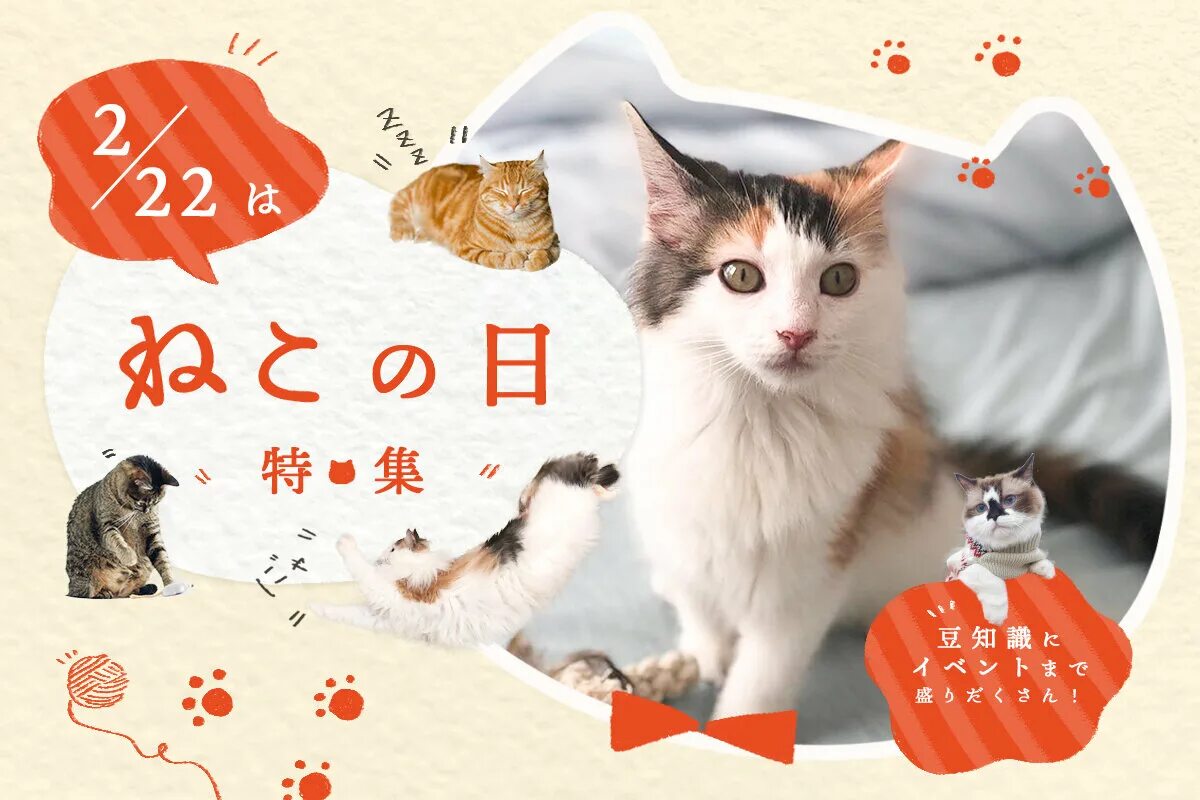 День кошек февраль. День кошки в Японии. День кошек в Японии 22 февраля. Денья японской кошки. День кошки 22 февраля.