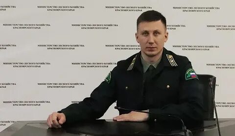 Сайт млх красноярского