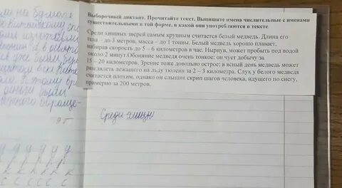 Как мужик убрал камень диктант 4 класса