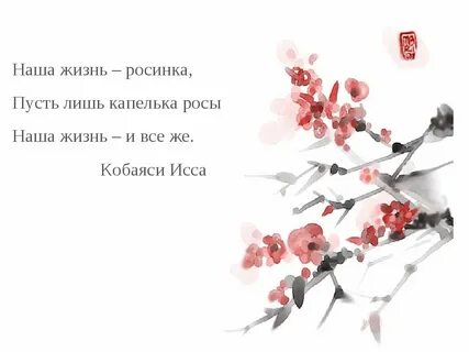 Стих про хокку