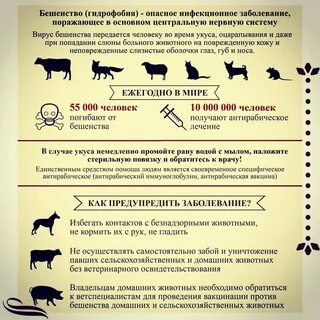 Метод профилактики бешенства