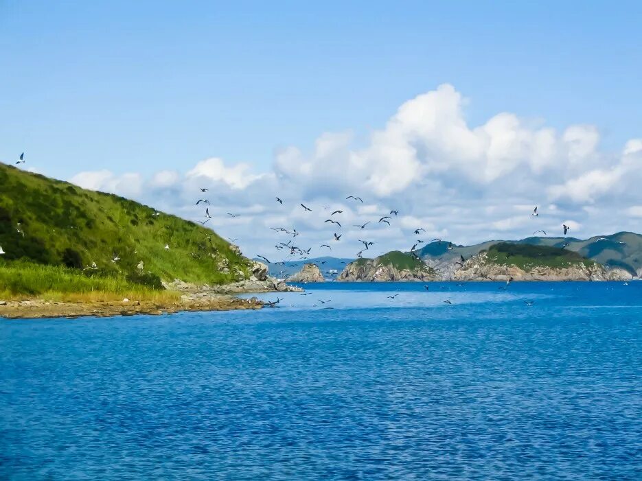 пляжа шамора(бухта лазурная). лазурный берег краснодарский край. бухтаа лазурный шамора. бухта лазурная владивосток. лазурный берег краснодарский край.