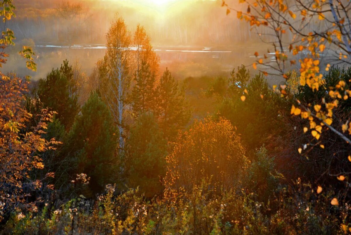 Осеннее утро картинки красивые. Осенний рассвет. Осенняя Заря. Осеннее утро. Рассвет осенью.