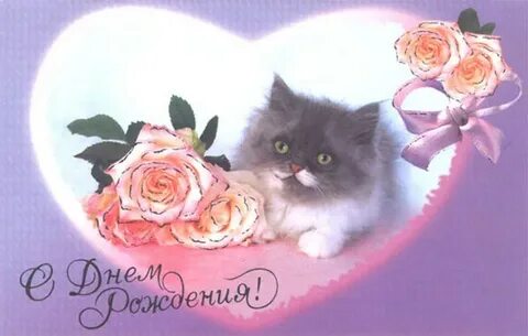 С днем рождения женщине красивые с кошками