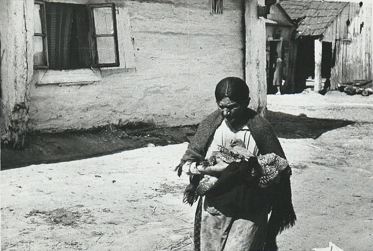 Голод в казахстане 1930-1933. Последствия голода 1931-1933 гг. Казахстан голодомор 1932-1933. Казахстан голодомор 1932-1933. Голод казахов 1931-1933.