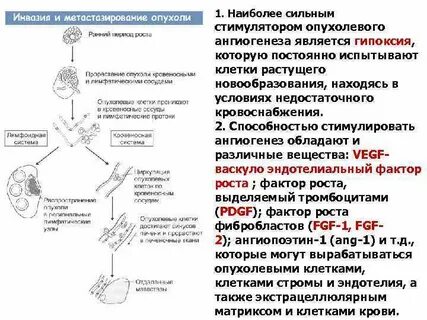 Механизмы ускользания бактерий от иммунной элиминации