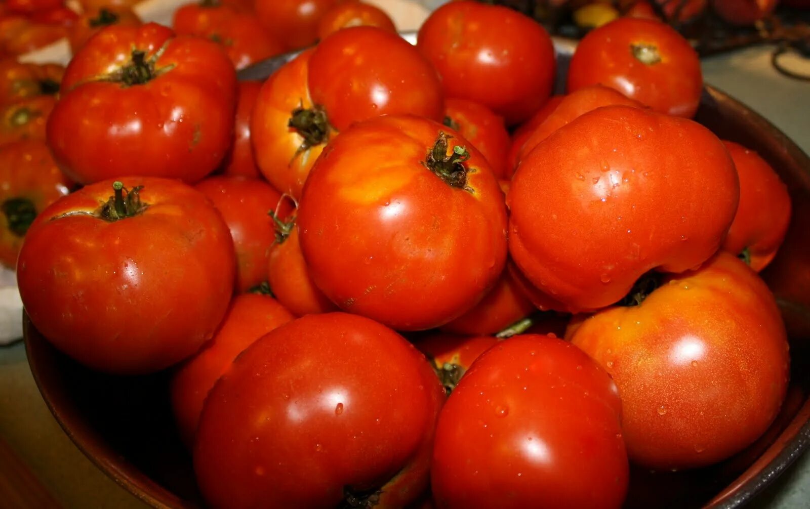 томат буш бифстик. почему домашние помидоры. почему домашние помидоры. помидор домашний на подоконнике. помидоры beefsteak.