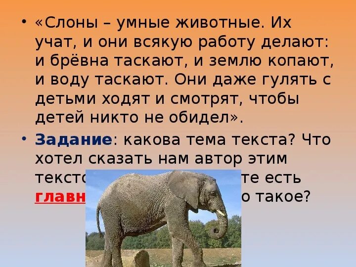 Большой мудрый зверь. Слоны Мудрые животные. Умные слоны. Доклад про слона 1 класс. Текст про слона.