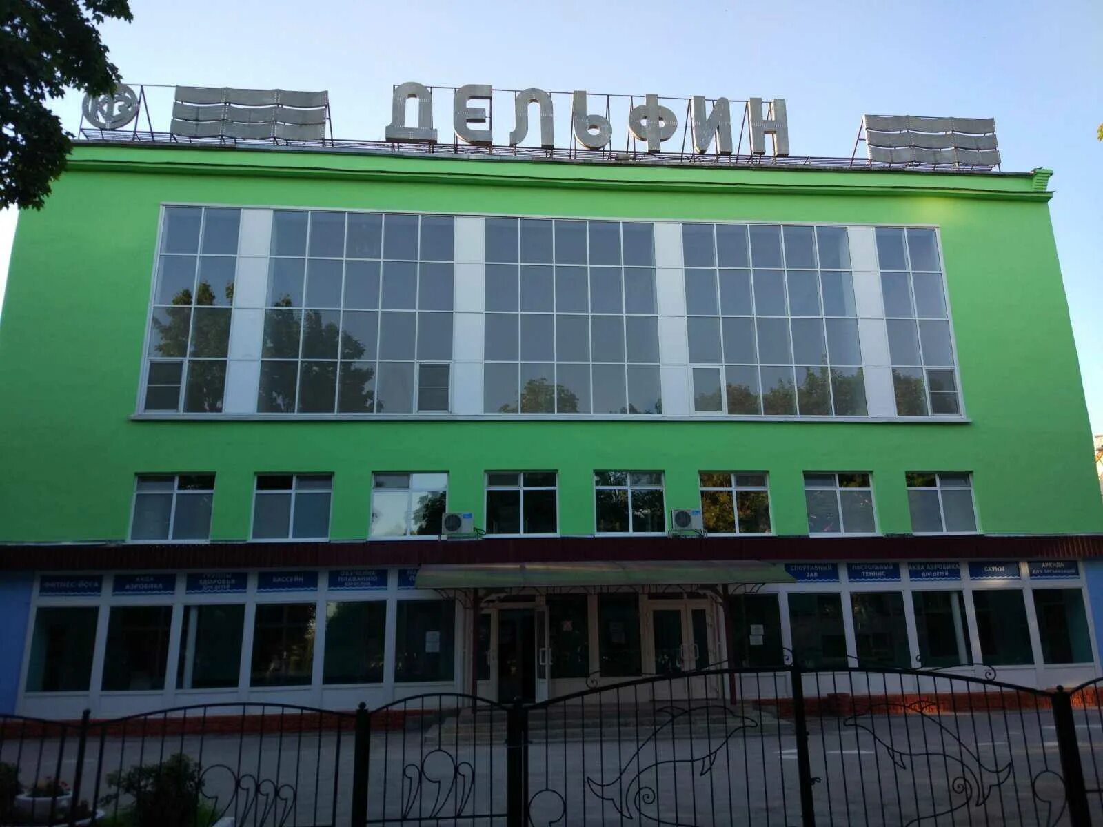 Бассейн дельфин березовский кемеровская. Бассейн дельфин калуга. Дельфин калуга. Дельфин калуга. Бассейн дельфин калуга.