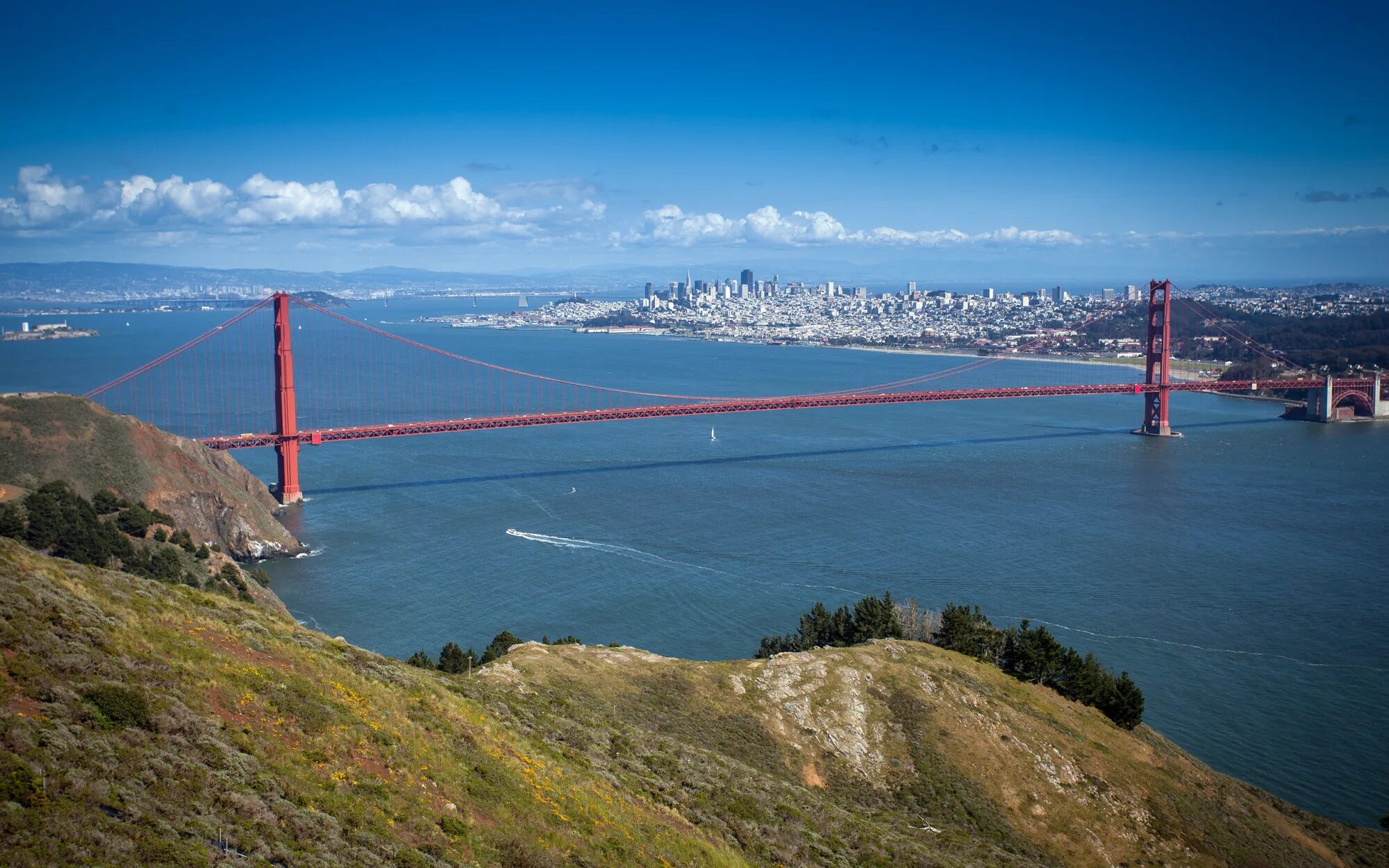 Почему сан франциско. Америка Сан Франциско Калифорния. Фауна Сан Франциско. Сан Франциско вышка. Телевышка в Сан Франциско.