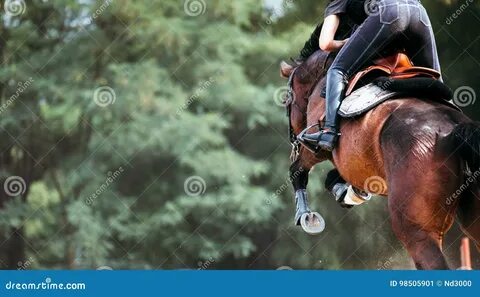Проскачу на коне весь день