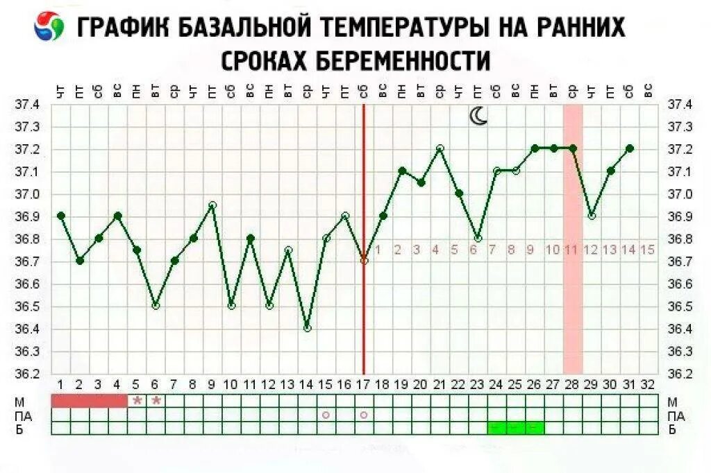 Можно ли в баню с температурой 37.5. График базальной температуры при беременности на ранних сроках. Беременный график БТ С низкой БТ. График БТ на ранних сроках беременности. 4 День цикла БТ 37.2.