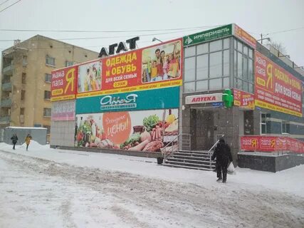 Черный кот вологда