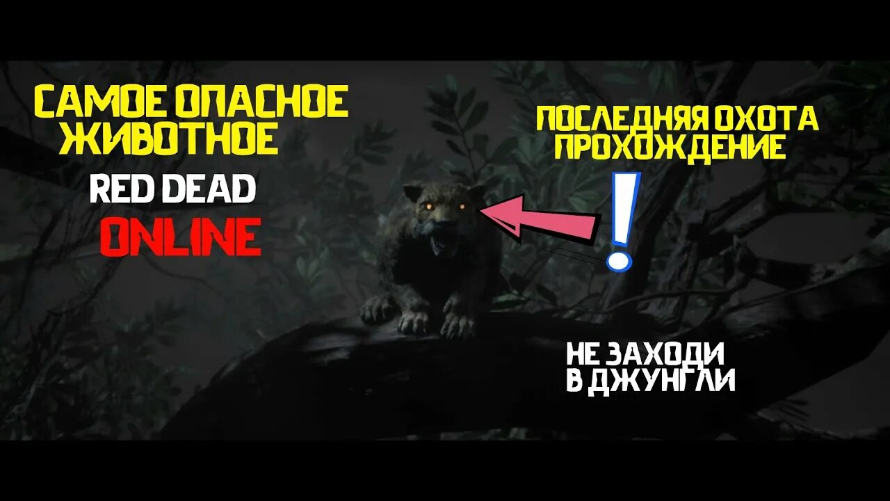 Пантера ивакта rdr 2. Легендарная пантера в РДР 2. Легендарная Пума rdr 2. Rdr 2 легендарная пантера Гиагуаро.