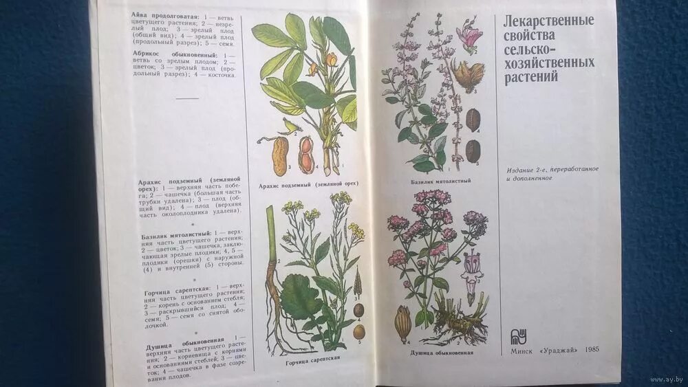 книги о растениях. книги о культурных растениях. иллюстрации к книге бабочки. книги о культурных растениях и авторы. грибное царство книга шустов \.