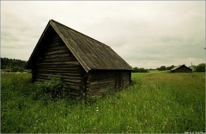 Сараем называли. Старый деревянный сарай. Деревенский сарай. Дом сарай. Сарай в россии.