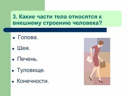 Проверочная работа тела и вещества 3 класс