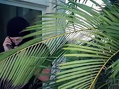 Drtube. Любительские японские минеты. Drtube. Азиатка отсасывает у подростка. Drtube.