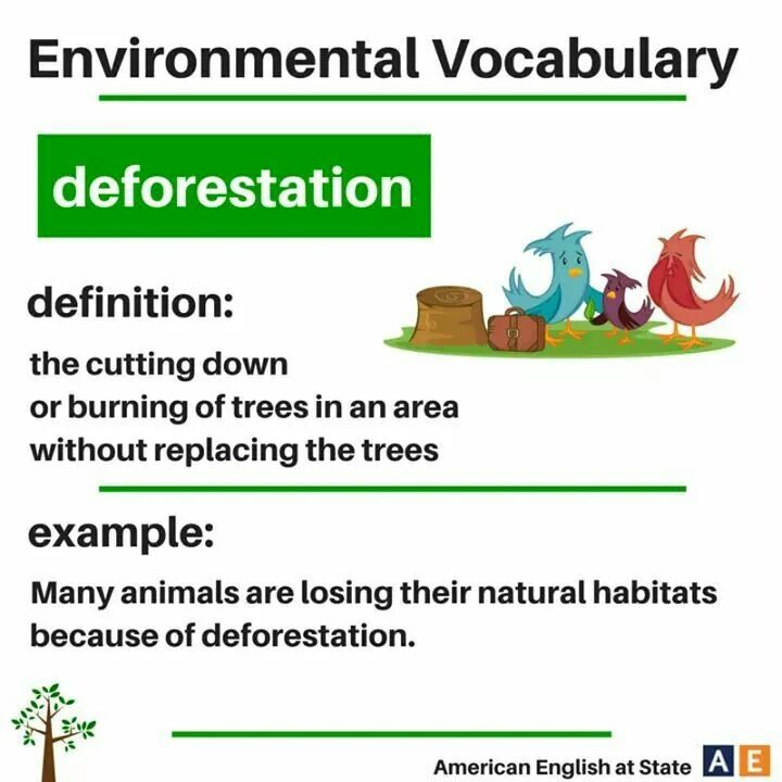 Vocabulary about environment. Environmental vocabulary. Environmental issues vocabulary. Environmental vocabulary. Английские слова на тему environmental problems.