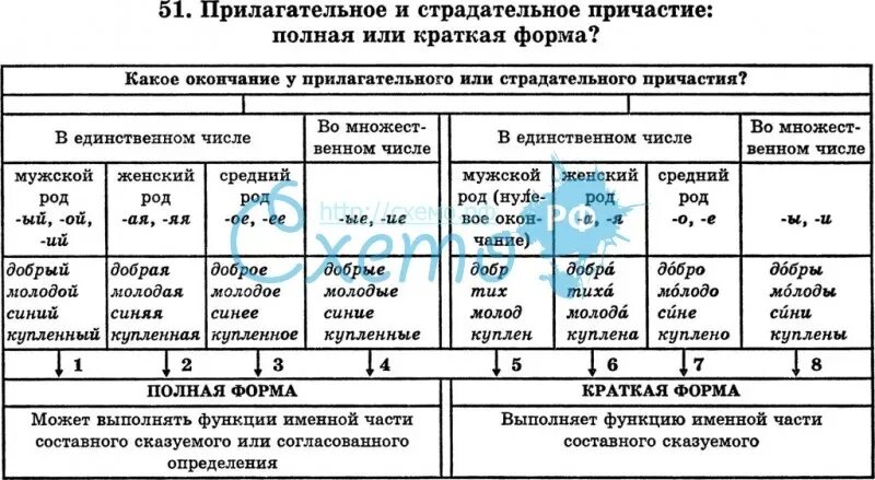 Таблица по теме причастие 7 класс Причастие таблица 7