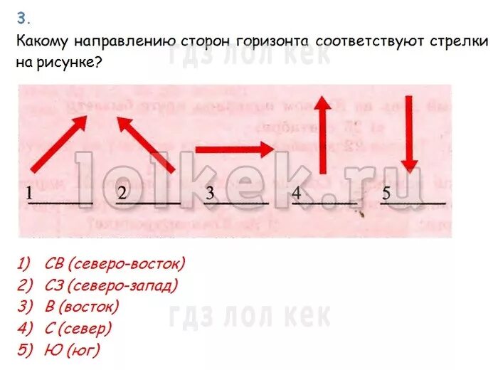 Покажите на рисунке стрелками направление